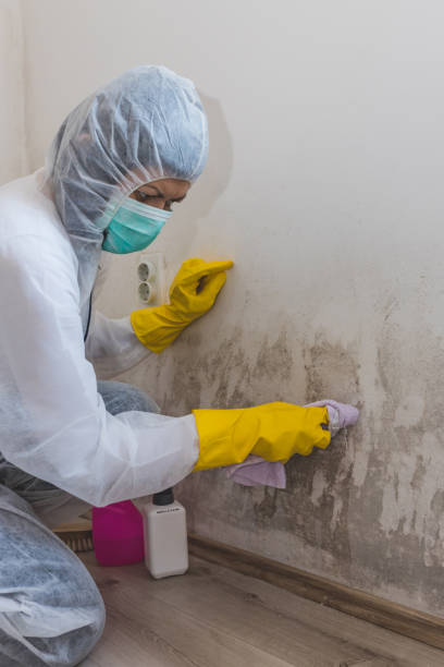 Best Asbestos and Lead Testing During Mold Inspection  in Summerlin South, NV